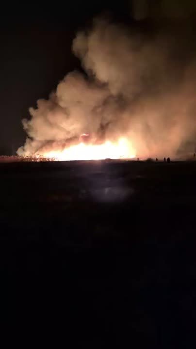 Камыши обширно горели сегодня не только в симферопольском Марьино, но и в Орловке