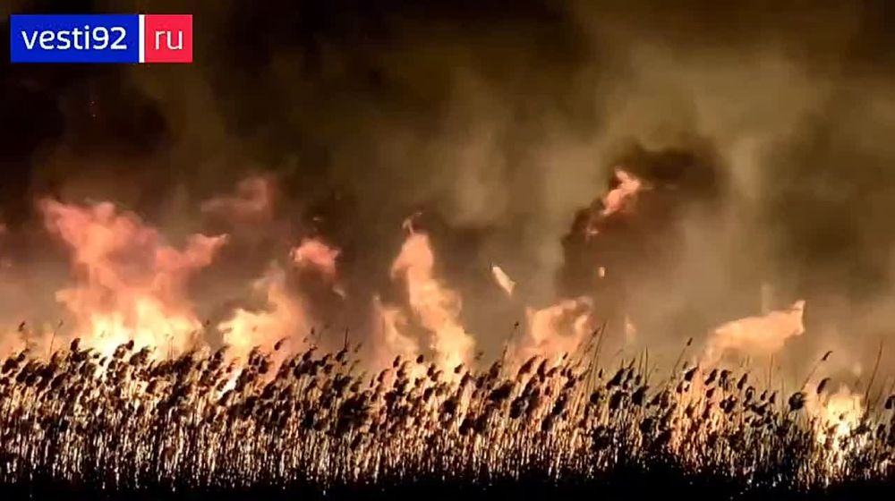 В Орловке горят камыши. На месте работают пожарные расчеты. Предварительная площадь возгорания - 2 гектара