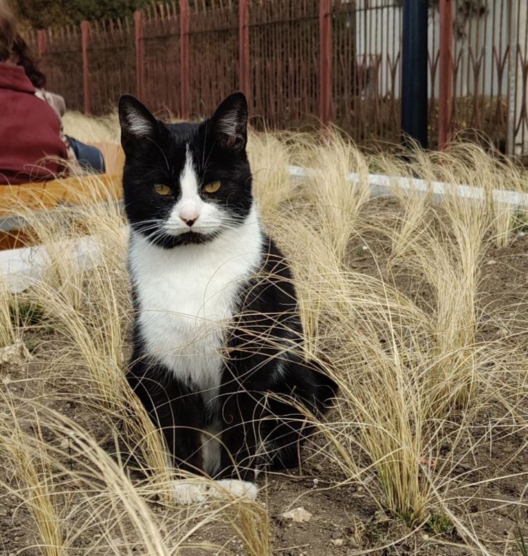 ������� ����������� ���� ������ ���� ��������� �����