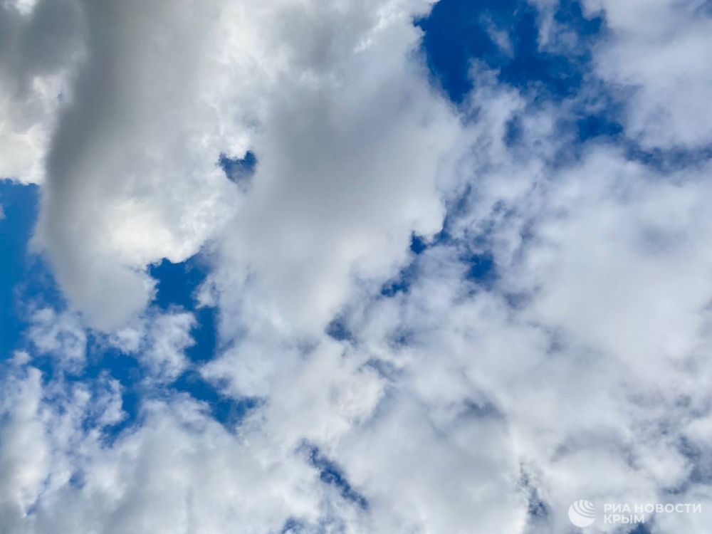 ������� ������ � ����� �� �����������