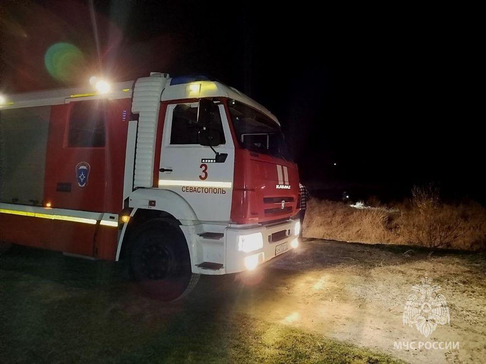 ����� ������� ������� ������: ��������������� ��������� ����� ����� ����� �������