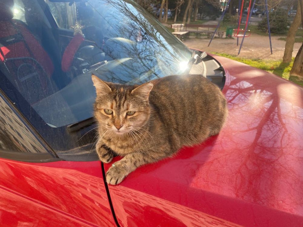 18 �����, � ���� ������������� ����������� � ����� � �������, � ������ ������ �������� ����� ����������, � �������� � ���������