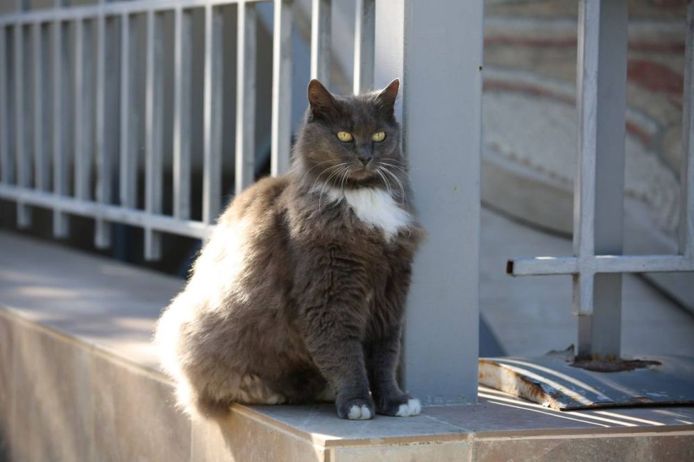 ����� ����� �� ��������� ��������� � �������� ������������ �������� ������ ���������� ��������� 2.0�