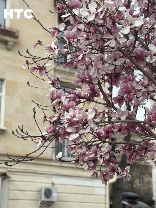 #���_�����. ��������� �� ������� ������� ������������ �� ���� ����� �����. �������� ������������, ��� ��� �� ������� ������� � ��������� ����������!� ��� - ������� �����������