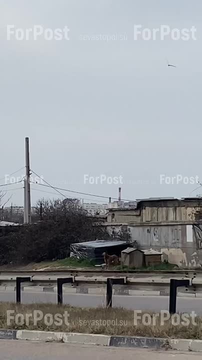 #���_�����. �� ��. ������ �������� ��������� �������� ���� �����. ���� ��� ������, ��� �� ������� �����-�� �������. ����� ����� ������� ����������� �����. �� ����� ������� ������� ������ ������� � ������������� �����