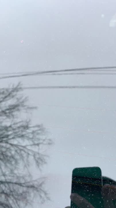 #���_�����. �� ����� ������ ����� � ������, ��������� �� ������������� �����������, �������� ������������ ��������