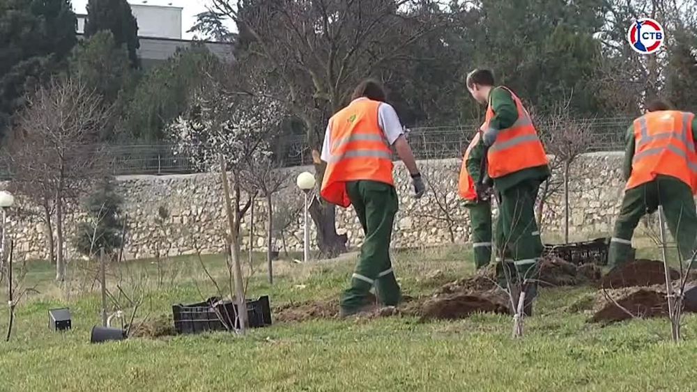 Севастопольские парки и скверы начали готовить к весенне-летнему сезону
