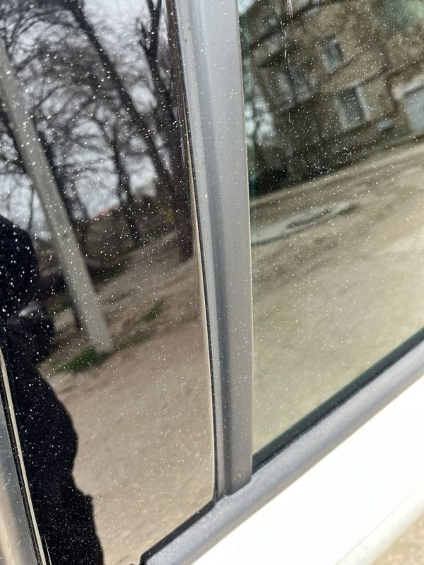 #���_�����. �� ����� ������ ����� � ������, ��������� �� ������������� �����������, �������� ������������ ��������