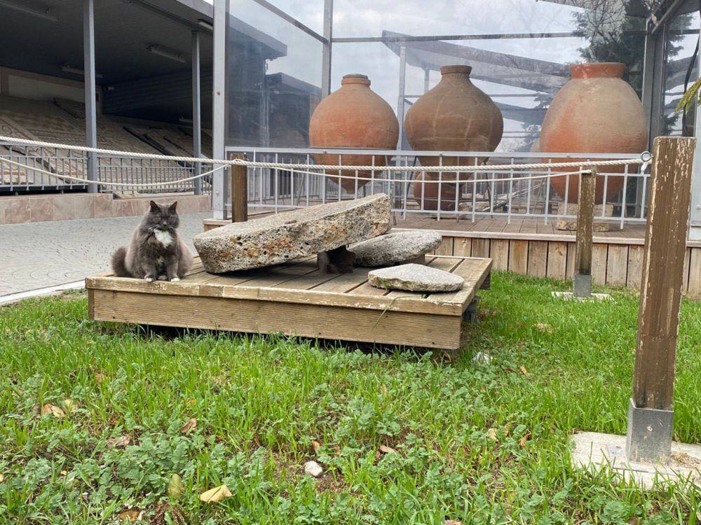 ����� ����� �� ��������� ��������� � �������� ������������ �������� ������ ���������� ��������� 2.0�