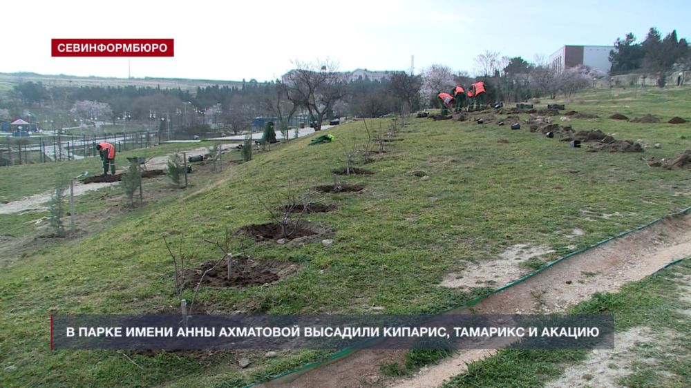 В парке имени Анны Ахматовой традиционно высадили новые растения