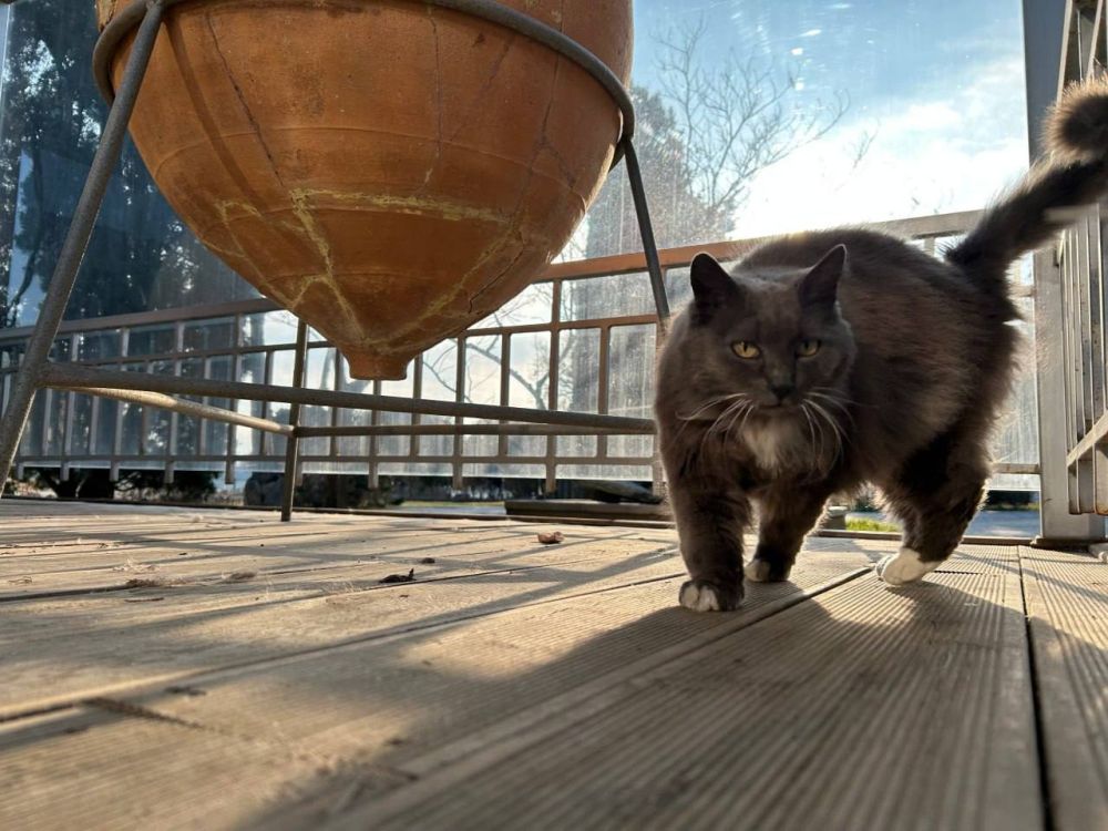 ����� ����� �� ��������� ��������� � �������� ������������ �������� ������ ���������� ��������� 2.0�