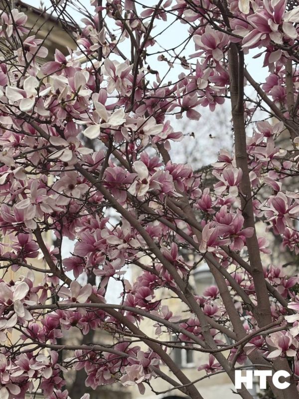 #���_�����. ��������� �� ������� ������� ������������ �� ���� ����� �����. �������� ������������, ��� ��� �� ������� ������� � ��������� ����������!� ��� - ������� �����������