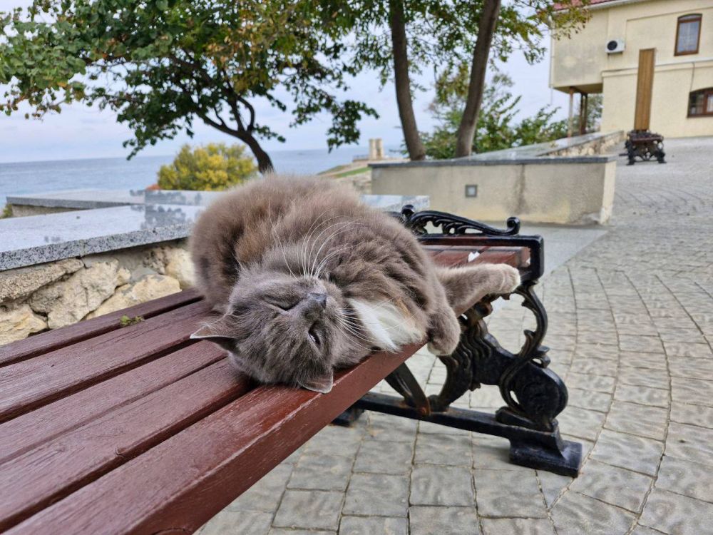 ����� ����� �� ��������� ��������� � �������� ������������ �������� ������ ���������� ��������� 2.0�