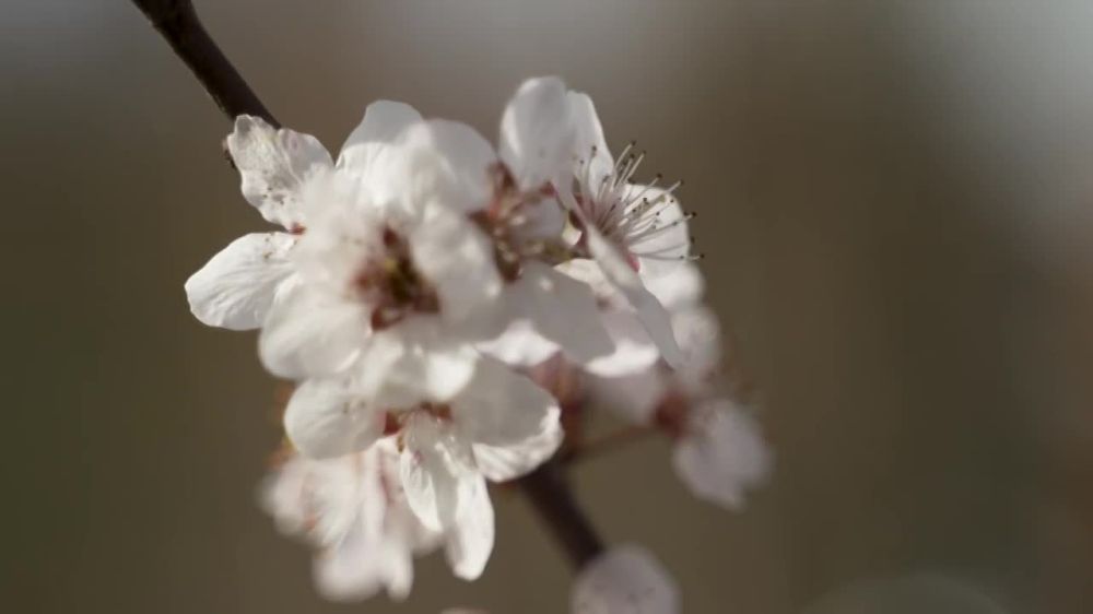 "� ��� ���������� ���� � ������ ����� �������, ��� ����������� � ����� ������� �������"