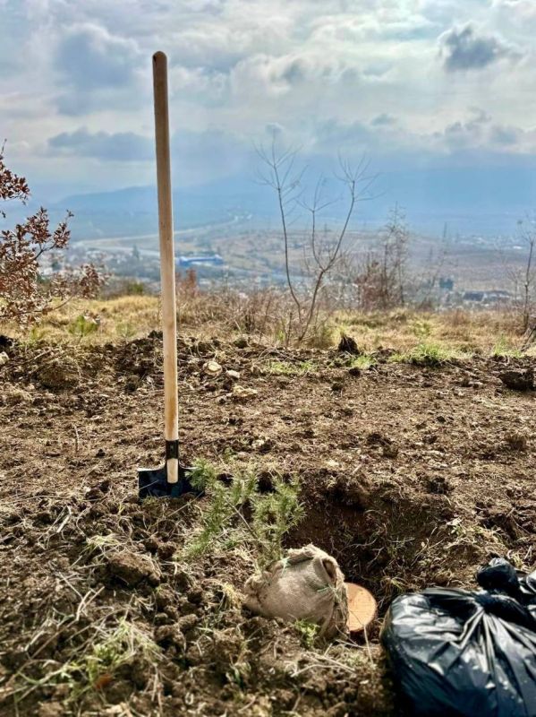 �������� ������: � ���� ����������� ��� ����������� ���� ������ ������� � ����� ���� ������, ������������ � ������ ������� ������