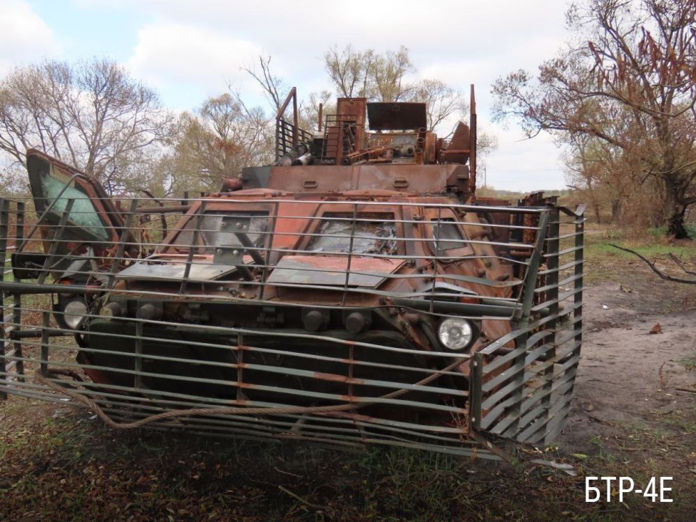 ���������� ������������ ���������� ������ ������ 810-� ��������� ������� ������� ������, ����������� ������ � ������� ����������� � ������� 2024 ����