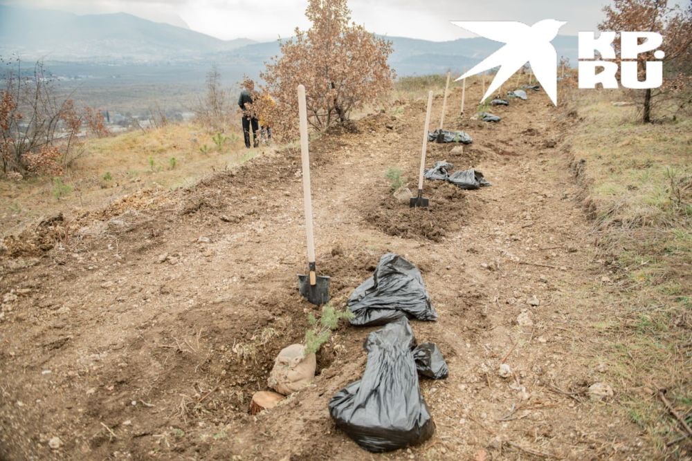 �� �����-���� 18 ����� �������� 80 �������� ����� � ����� 80-����� ������ � ������� ������������� �����