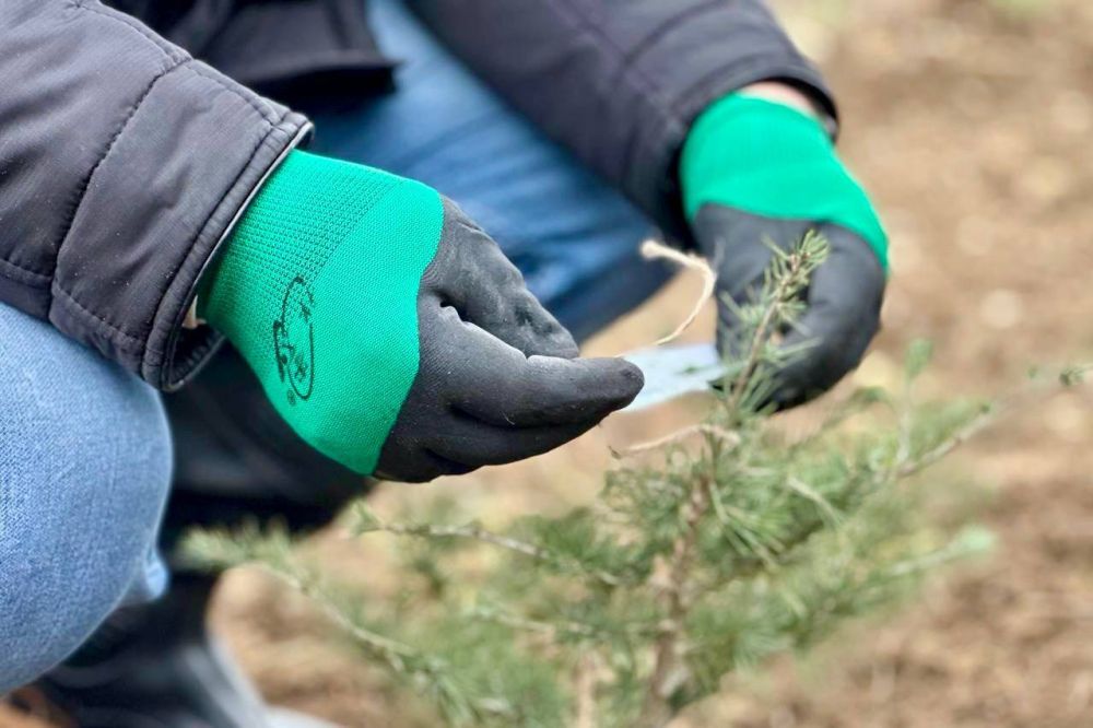 �������� ������: � ���� ����������� ��� ����������� ���� ������ ������� � ����� ���� ������, ������������ � ������ ������� ������