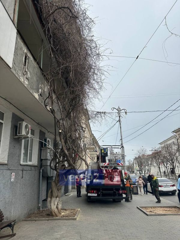 � ����������� �������� ���������� �������� �� ��. ������.