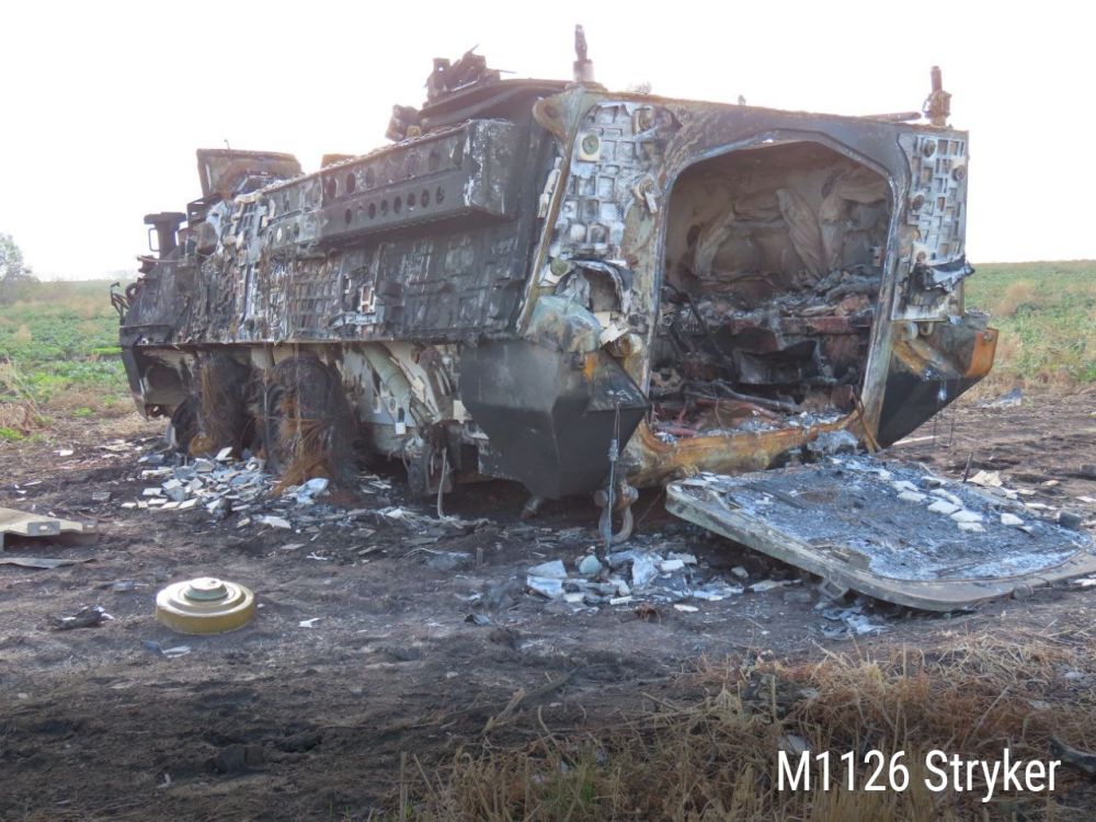 Минобороны опубликовало результаты работы бойцов 810-й отдельной бригады морской пехоты, которые выполняют задачи в курском приграничье с августа 2024 года