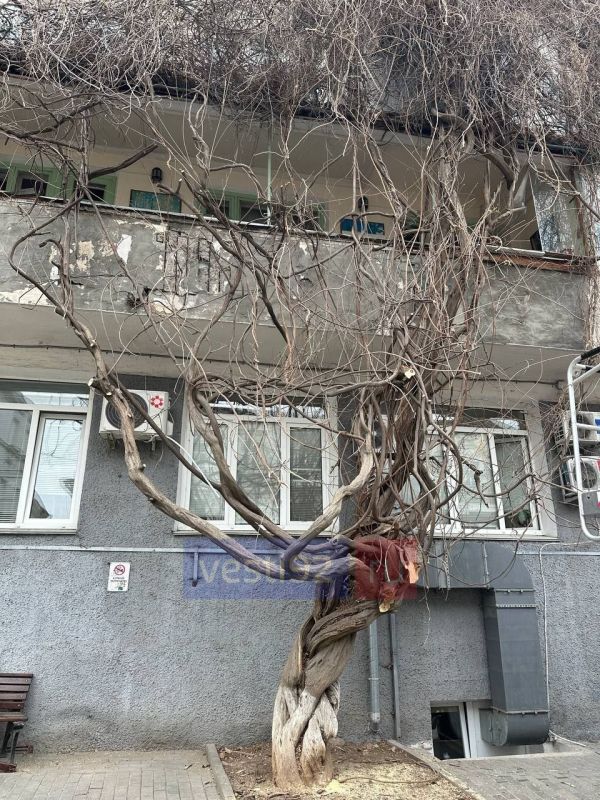 � ����������� �������� ���������� �������� �� ��. ������.