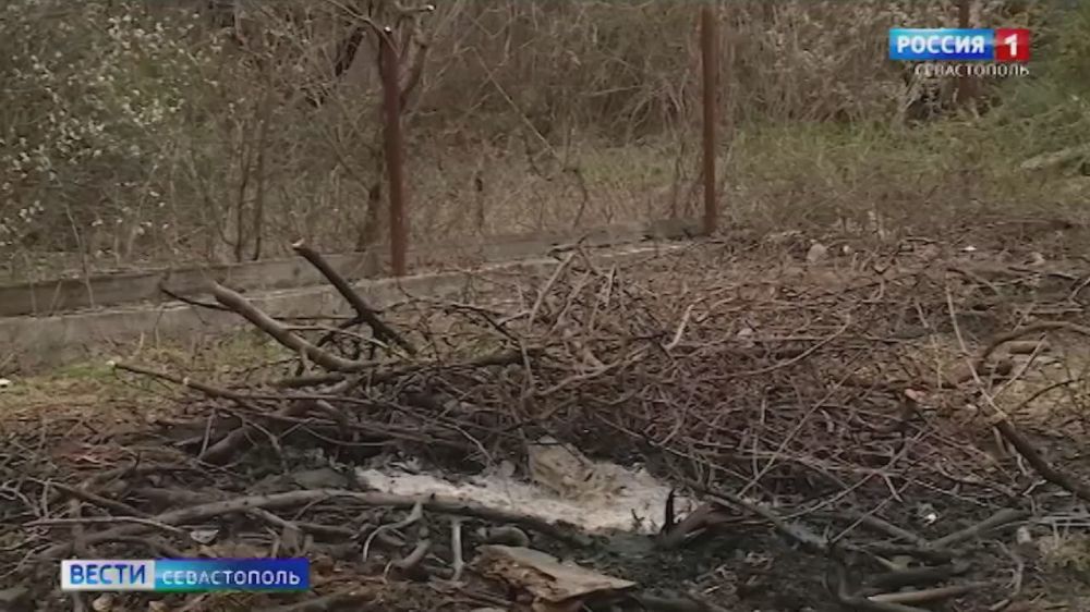 "����� ��� ���������� �����": ������� ���� �� ����������� ������ ������ � ��� "�� "���������" � �����������