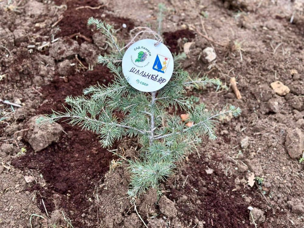 �������� ������: � ���� ����������� ��� ����������� ���� ������ ������� � ����� ���� ������, ������������ � ������ ������� ������