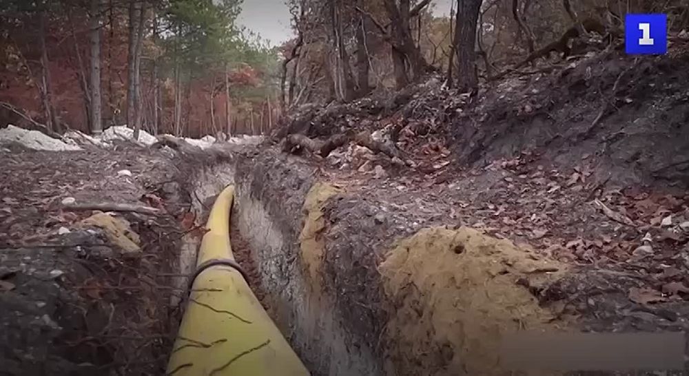 ��� � ���� ���������� ������ ����� ��������� � ����� 2025 ���� � ���������� ������ ���������