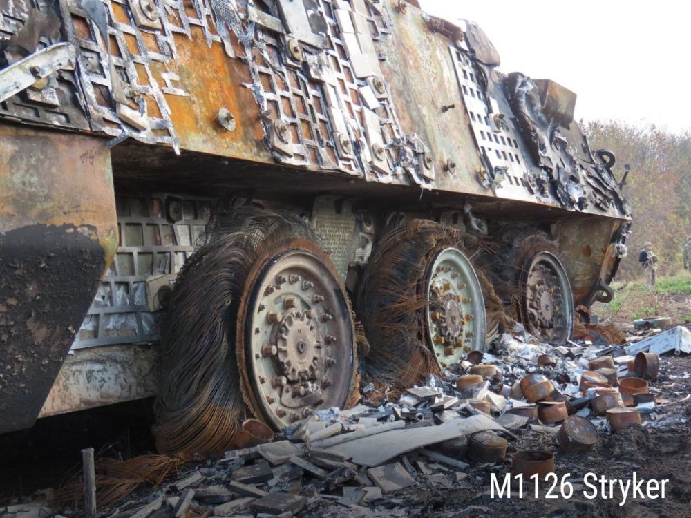 Минобороны опубликовало результаты работы бойцов 810-й отдельной бригады морской пехоты, выполняющих задачи в курском приграничье с августа 2024 года