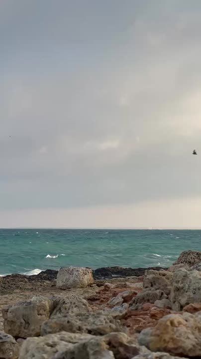 � ����������� �������, �����, � ������ �������� ��� ����� �� ������, ������� �����