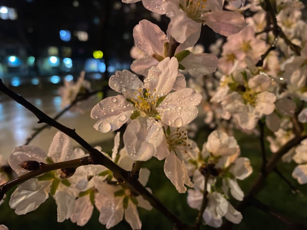 ������� ������ � ����� �� 18 �����