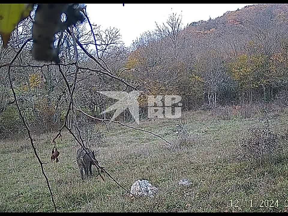 ����� ������� �����������: �����, ������ � ����