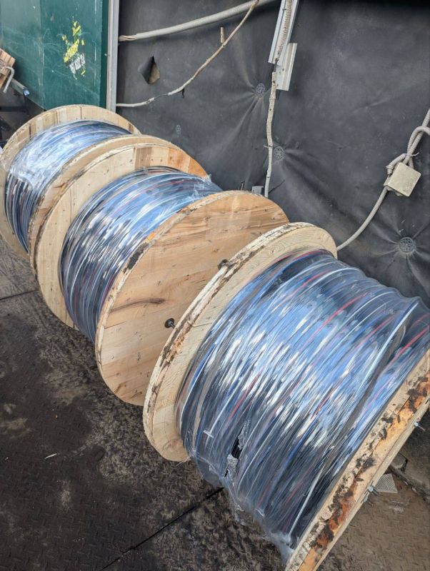 ��������������. 10 �����������