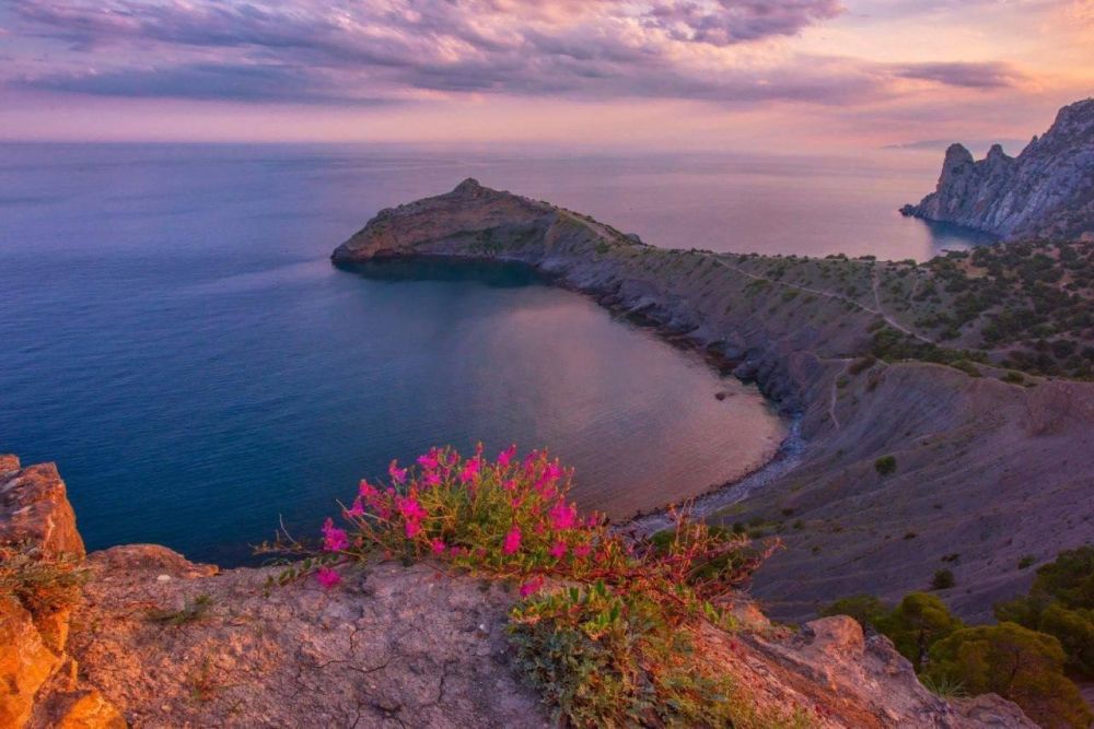 1 Доходы бюджета Крыма выросли в пять раз за время в составе России