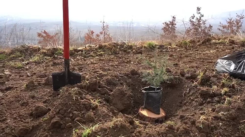 ����������� ��� ����� ����� ���� ������ ��� ���� ������!