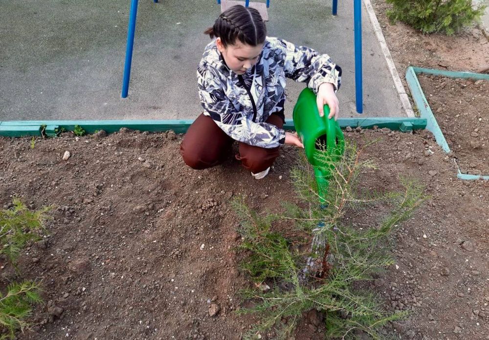 � ���������� 11-� ��������� �������� ������ �������� �������� �7 ��. �.�