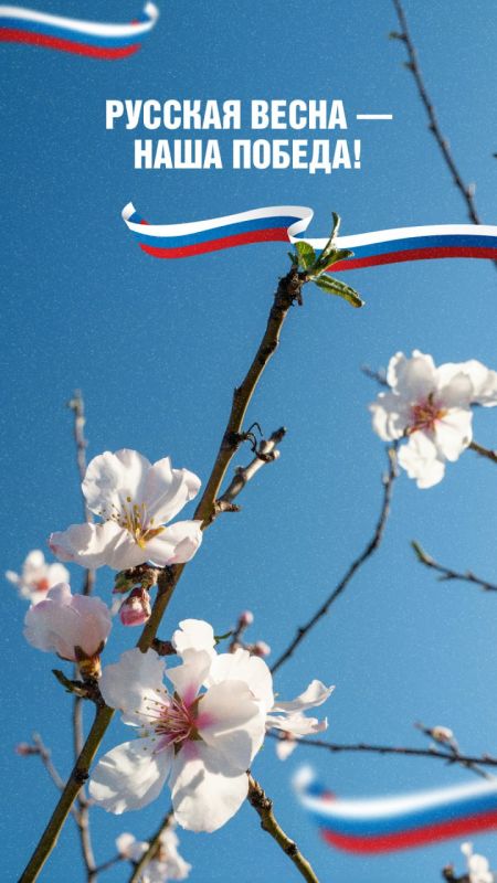 ����������� ��� �����, 18 ����� 2014 ����, ����������� ����� ���� ������ ������, ���������� � ������ ������