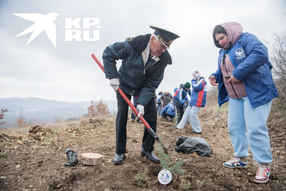 �� �����-���� 18 ����� �������� 80 �������� ����� � ����� 80-����� ������ � ������� ������������� �����