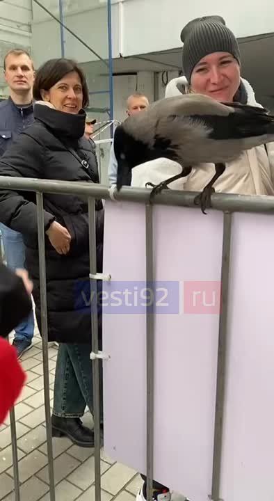 Нового контролёра заметили сегодня севастопольцы на проходной на Графской пристани