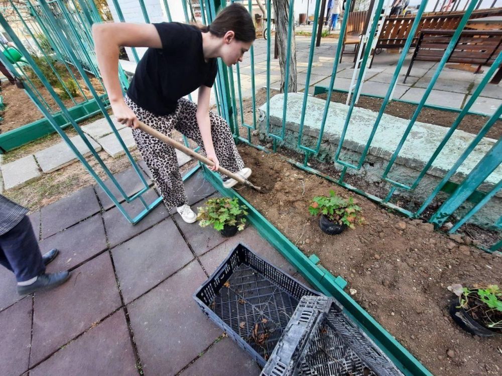 � ���������� 11-� ��������� �������� ������ �������� �������� �7 ��. �.�