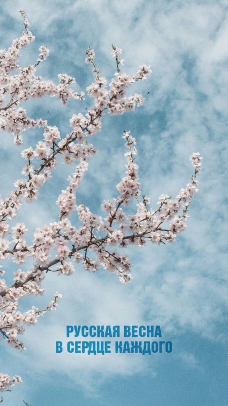 ����������� ��� �����, 18 ����� 2014 ����, ����������� ����� ���� ������ ������, ���������� � ������ ������