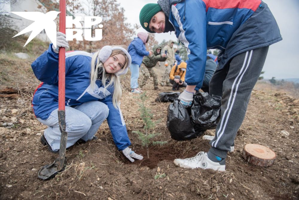 �� �����-���� 18 ����� �������� 80 �������� ����� � ����� 80-����� ������ � ������� ������������� �����