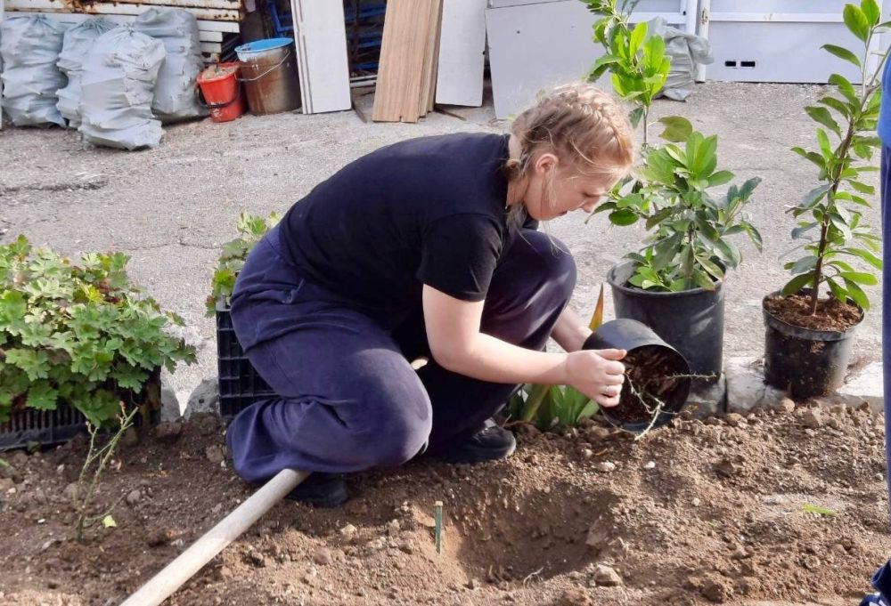 � ���������� 11-� ��������� �������� ������ �������� �������� �7 ��. �.�