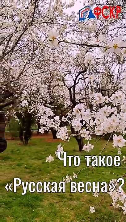 ������, �� ���� ���� ����������� � ���� ������������� ����������� � ����� � �������