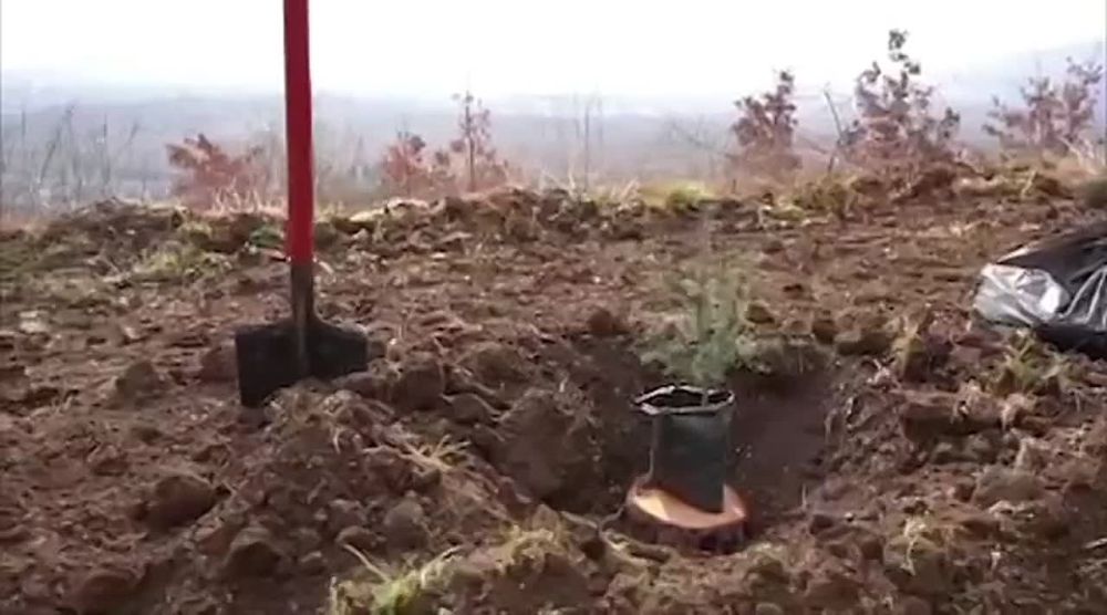 �� ������ �����-���� � ����������� �������� 80 ������