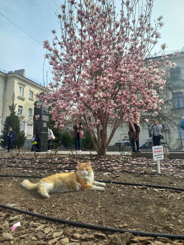 ���� ����� � ��������� ����������!