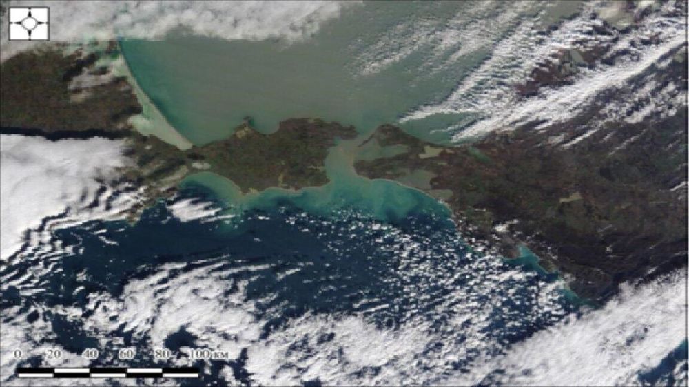 ЧП в Керченском проливе наглядно показало, к каким последствиям приводит халатность – Путин