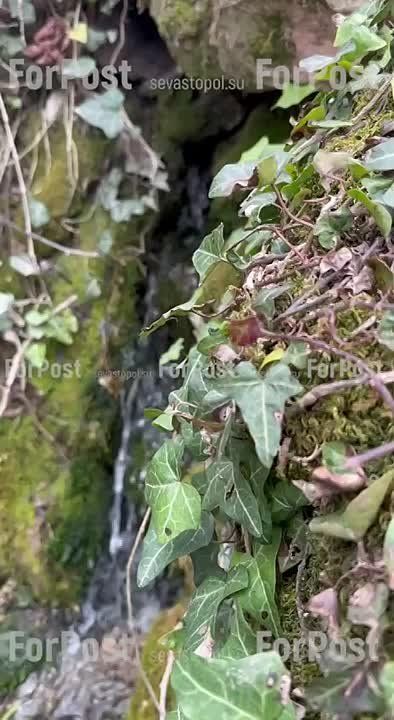 #���_�����. ��������� ������� �� ���������� ���� �������