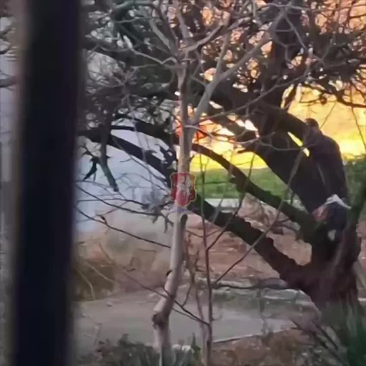 ������ � �������� � �������� ������ ��� �������� � �����������