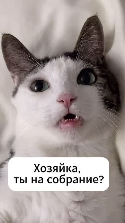 ����� � ����� ��������� ����� �������� ������������� ���?